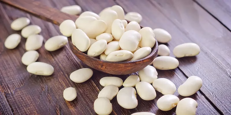 بهبود هضم و سلامت گوارش