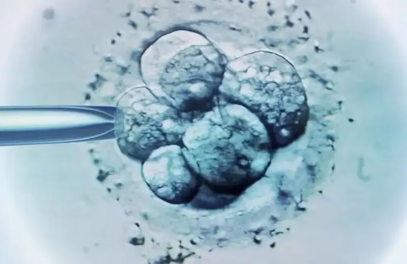 جنین فریز شده تا چند سال قابل استفاده است؟