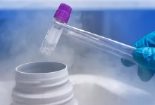 جنین فریز شده چیست