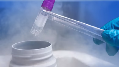 جنین فریز شده چیست