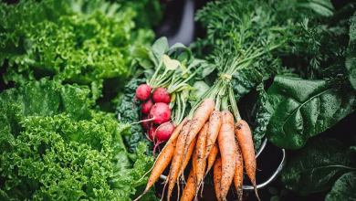 در پاییز چه سبزی‌هایی بکاریم؟