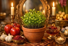 آموزش کاشت هسته نارنج برای سبزه عید