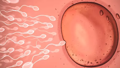 از کجا بفهمیم لقاح موفق بوده؟
